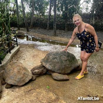 natheamour - date a Belgian, 100% free natheamour