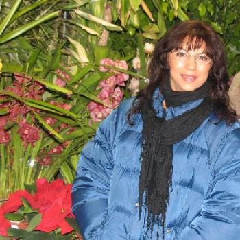 paradis12 - date a Belgian, 100% free paradis12