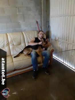 maarten - date a Belgian, 100% free maarten